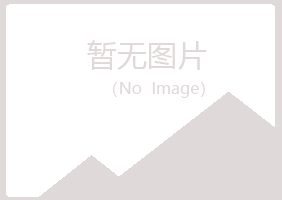 防城港夏岚能源有限公司